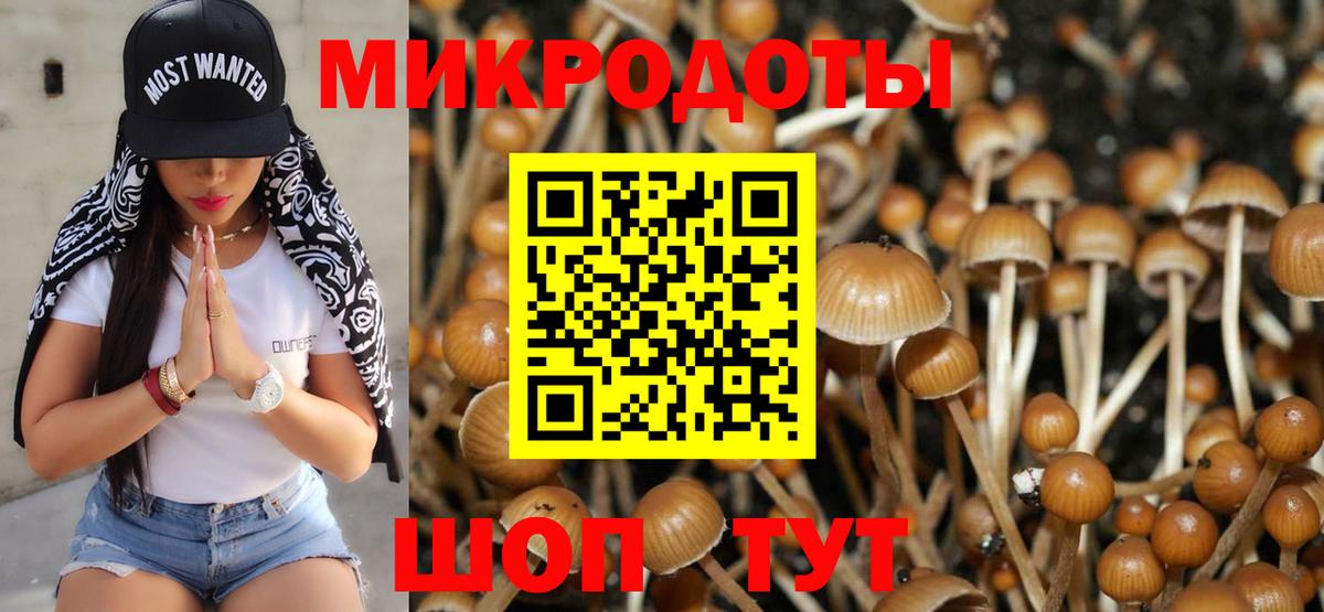 Галлюциногенные грибы GOLDEN TEACHER Иваново