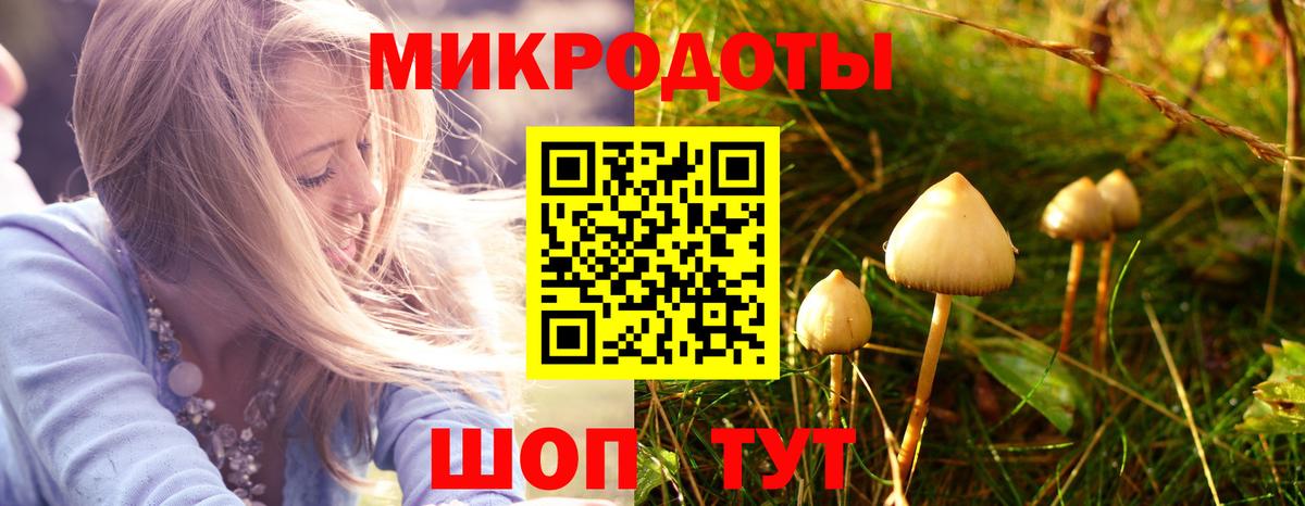 Псилоцибиновые грибы Cubensis  даркнет сайт  Иваново  Вход с VPN  Псилоцибиновые грибы ЛСД 